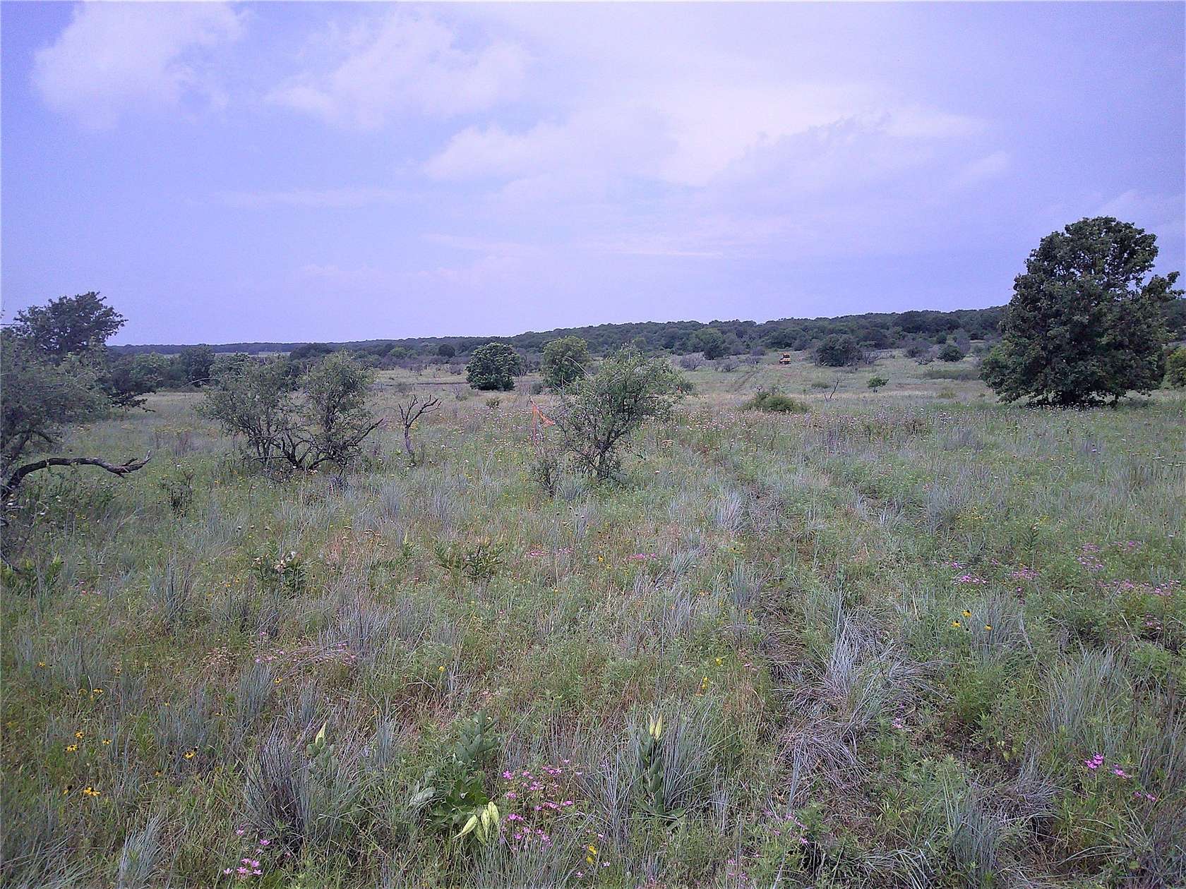 25 Acres of Land for Sale in Bowie, Texas