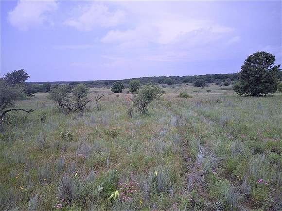 25 Acres of Recreational Land for Sale in Bowie, Texas