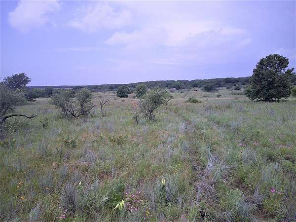 25 Acres of Land for Sale in Bowie, Texas