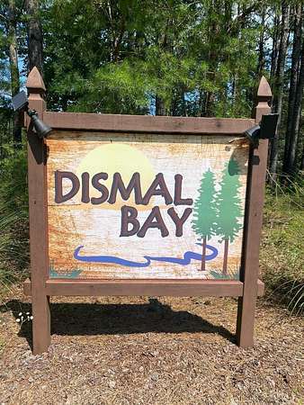 Land for Sale in Arley, Alabama
