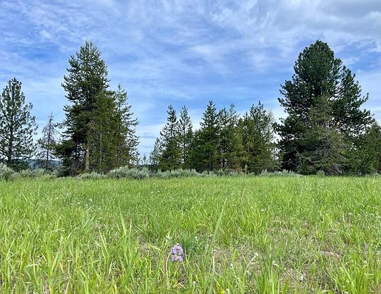 2 Acres of Residential Land for Sale in McCall, Idaho