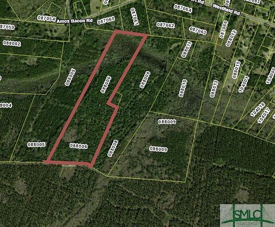 38 Acres of Recreational Land for Sale in Midway, Georgia