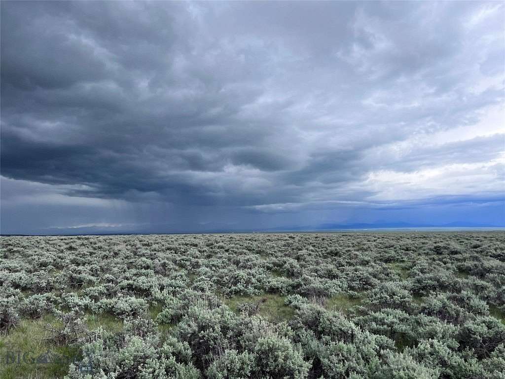 20 Acres of Recreational Land for Sale in Wisdom, Montana