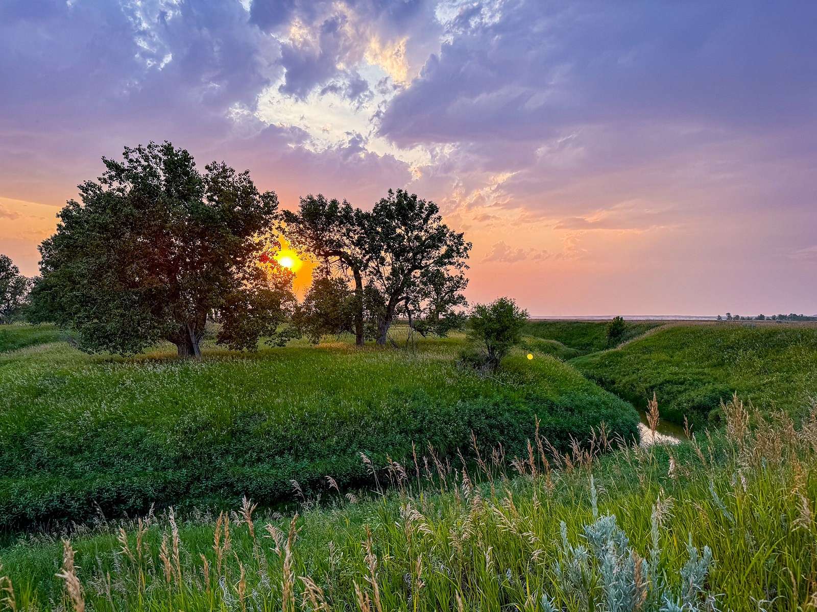 4,228 Acres of Recreational Land & Farm for Sale in Savoy, Montana