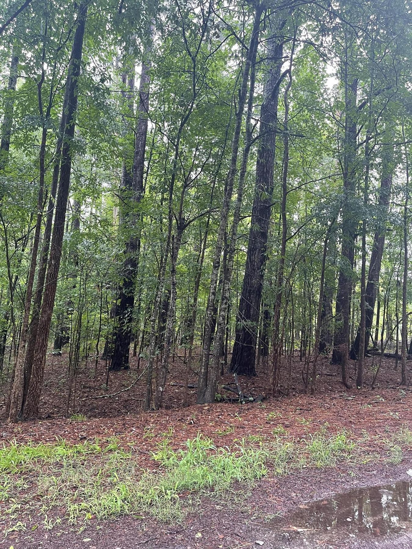 0.25 Acres of Residential Land for Sale in Johnston, South Carolina