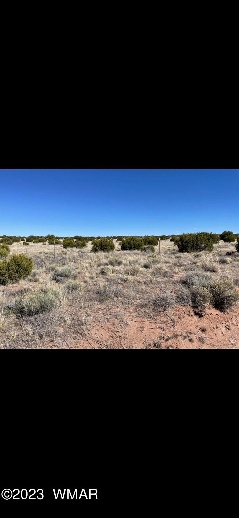 37.3 Acres of Recreational Land for Sale in St. Johns, Arizona