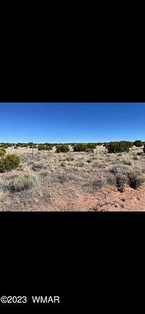 37.3 Acres of Recreational Land for Sale in St. Johns, Arizona
