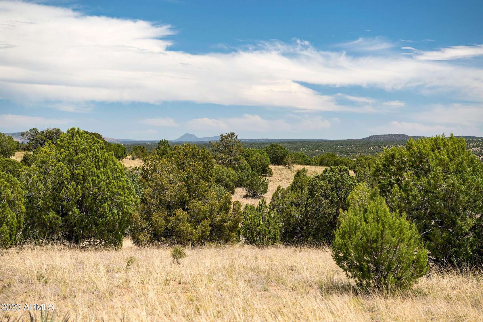 10 Acres of Land for Sale in Seligman, Arizona