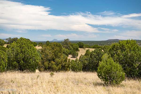 10 Acres of Land for Sale in Seligman, Arizona