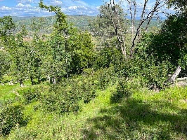 0.5 Acres of Residential Land for Sale in Copperopolis, California