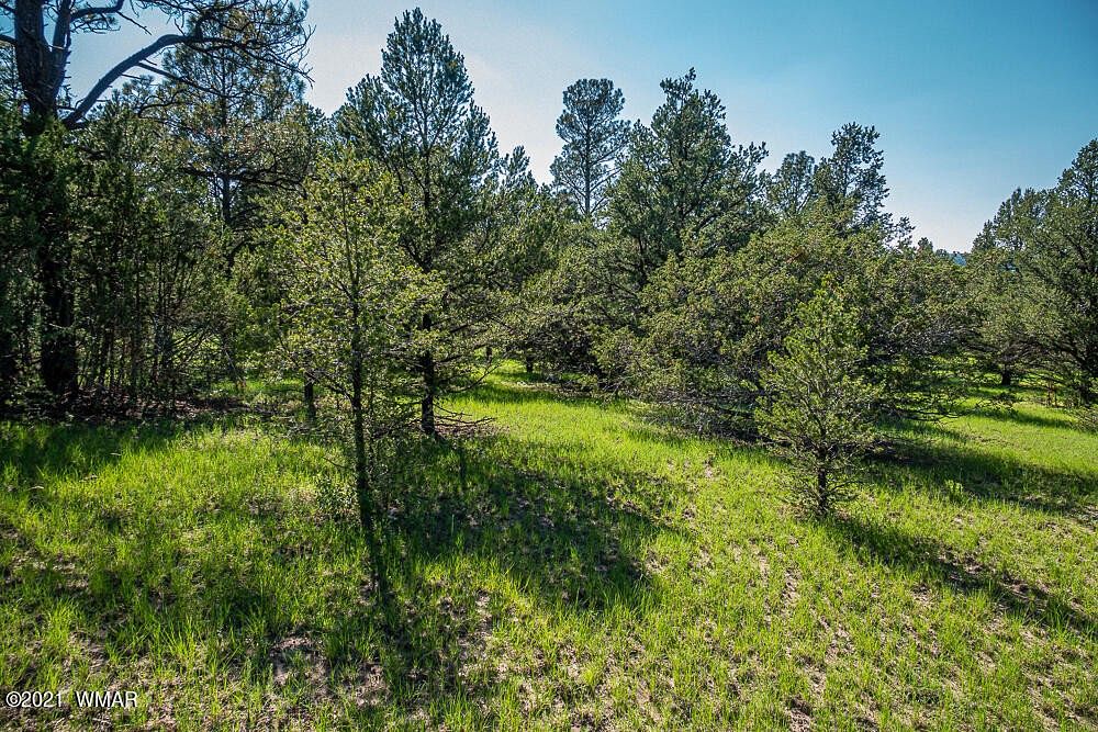 9.1 Acres of Residential Land for Sale in Nutrioso, Arizona