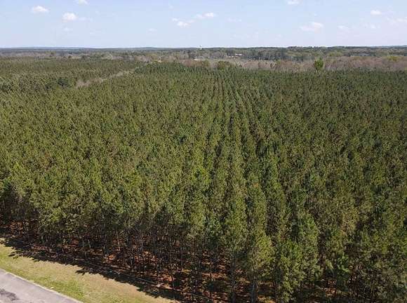 305 Acres of Recreational Land with Home for Sale in Louin, Mississippi