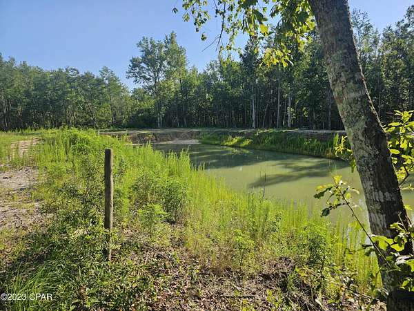 36 Acres of Improved Land for Sale in Grand Ridge, Florida