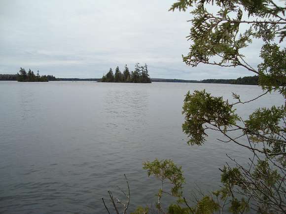 2.5 Acres of Land for Sale in Cooper, Maine