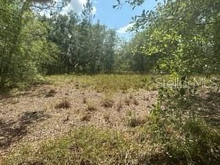 9.7 Acres of Land for Sale in Plant City, Florida