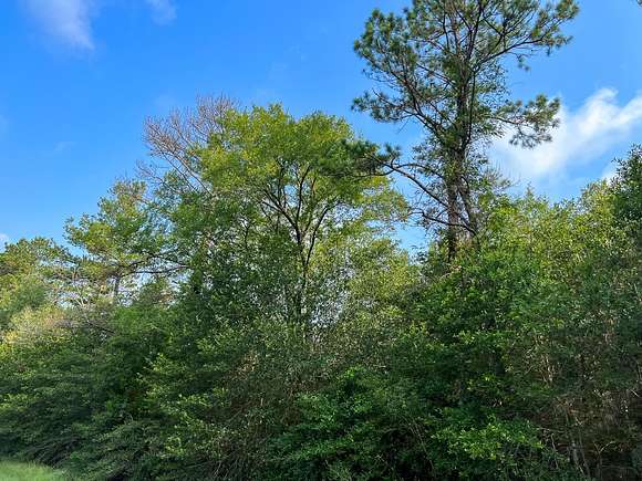 183 Acres of Recreational Land for Sale in Huntsville, Texas