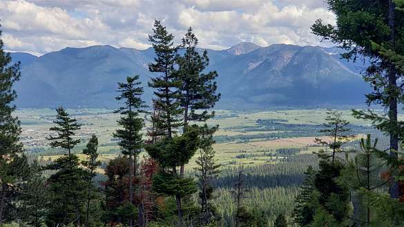 58.2 Acres of Recreational Land for Sale in Arlee, Montana