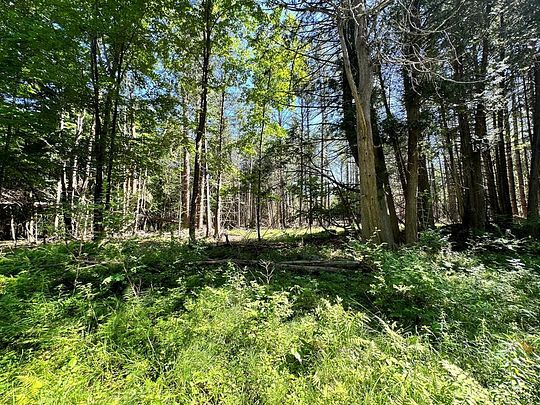 15.9 Acres of Land for Sale in Wilmington, New York