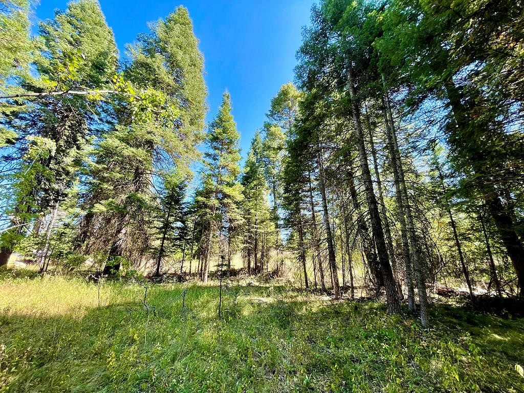 1 Acre of Residential Land for Sale in McCall, Idaho