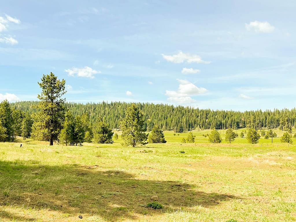 2.1 Acres of Residential Land for Sale in McCall, Idaho
