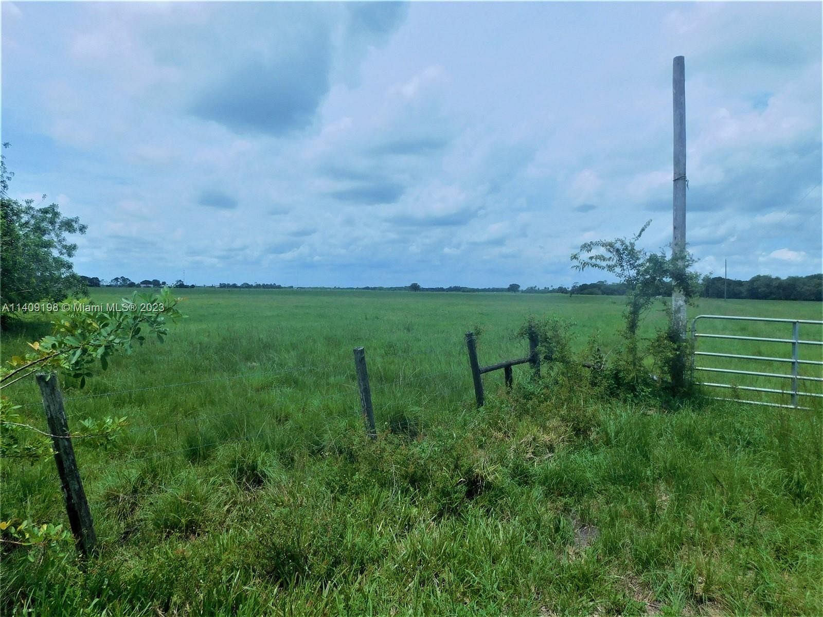 123 Acres of Land for Sale in Okeechobee, Florida