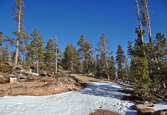 2.1 Acres of Recreational Land for Sale in Red Feather Lakes, Colorado