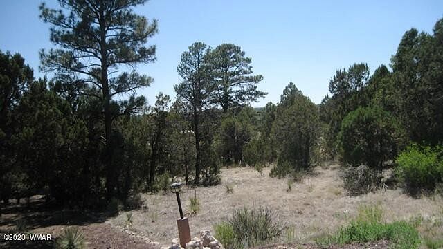 0.43 Acres of Residential Land for Sale in Overgaard, Arizona