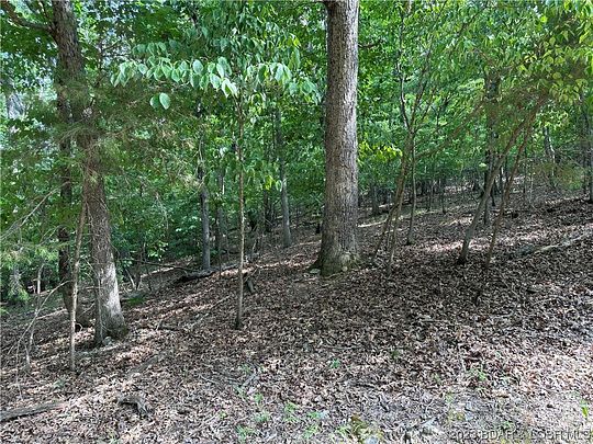 0.33 Acres of Residential Land for Sale in Village of Four Seasons, Missouri
