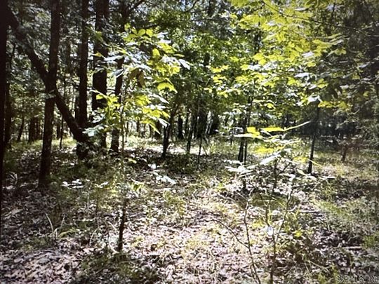 0.33 Acres of Residential Land for Sale in Hot Springs Village, Arkansas