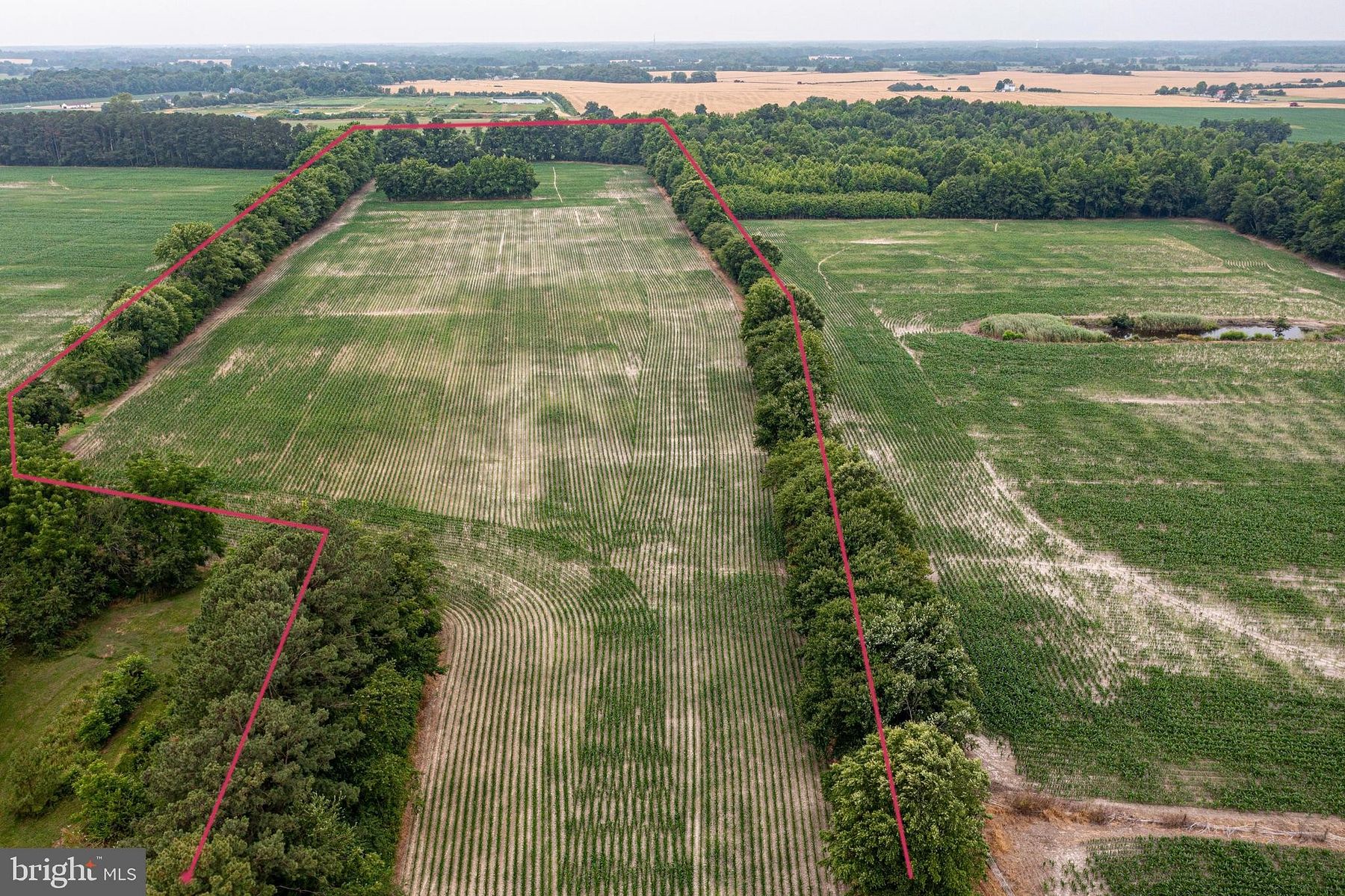 19.4 Acres of Agricultural Land for Sale in Smyrna, Delaware