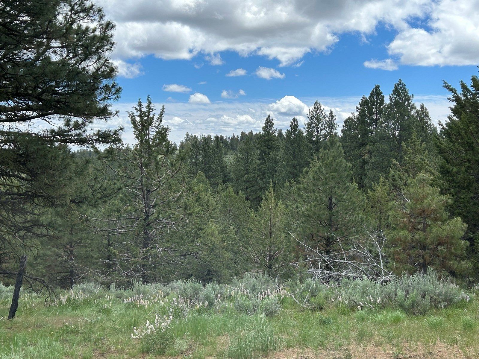 300 Acres of Recreational Land & Farm for Sale in Burns, Oregon