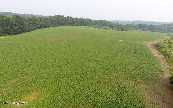 214.84 Acres of Land for Sale in Caneyville, Kentucky