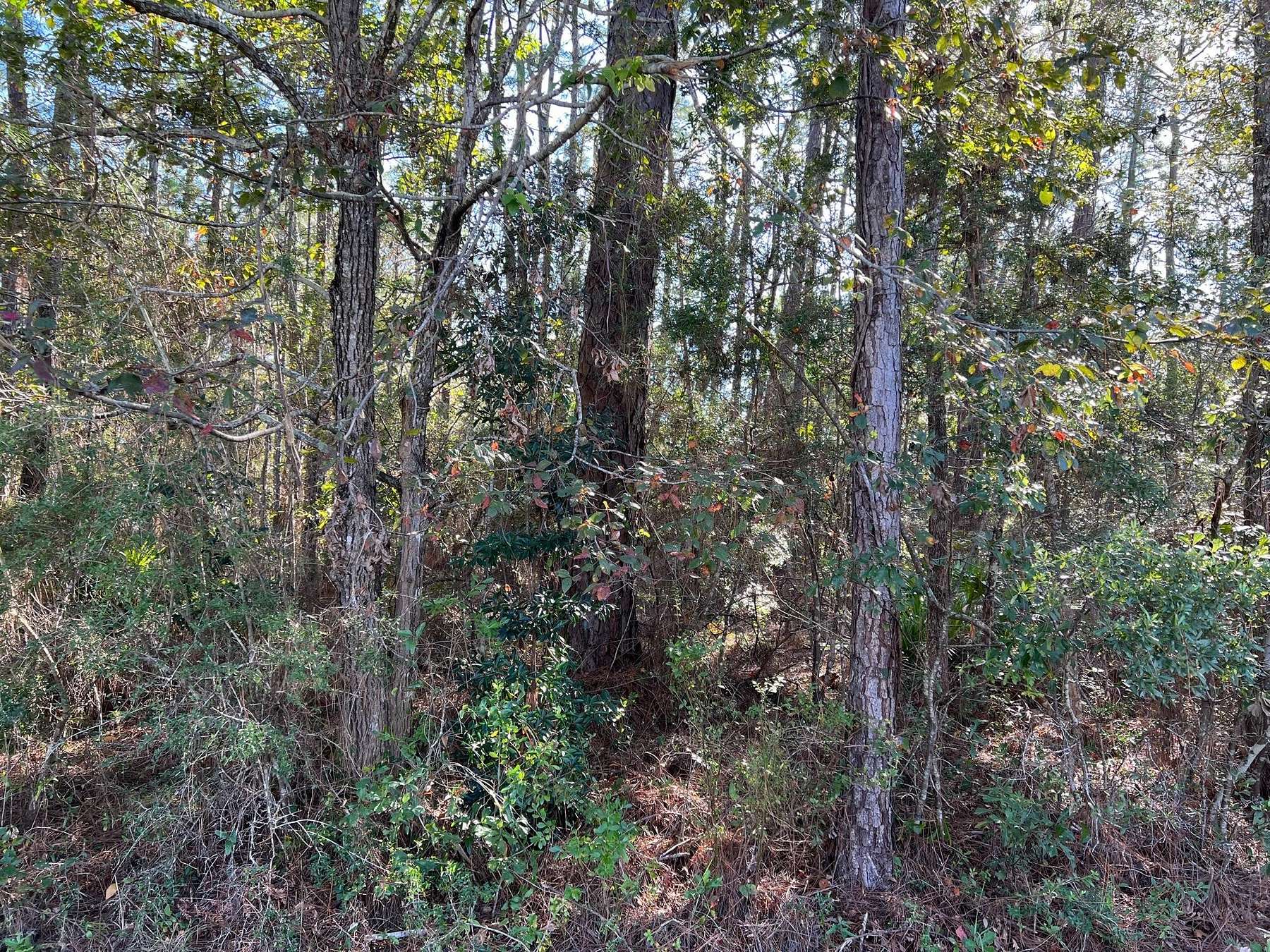 0.27 Acres of Residential Land for Sale in Pass Christian, Mississippi