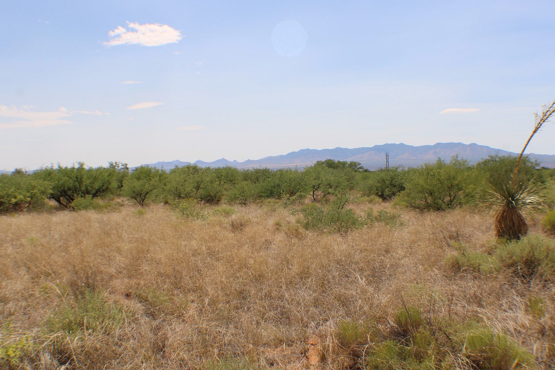 37.5 Acres of Land for Sale in St. David, Arizona