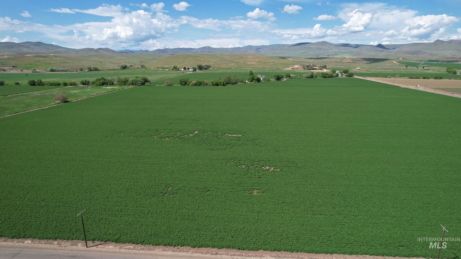 36.4 Acres of Agricultural Land for Sale in Weiser, Idaho