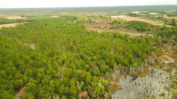151 Acres of Recreational Land for Sale in Nichols, South Carolina