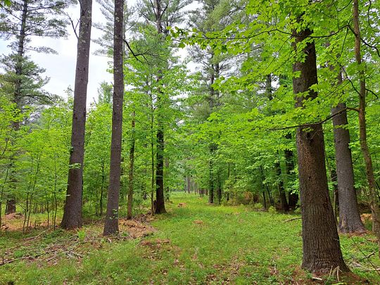 157 Acres of Recreational Land for Sale in Wilmington, New York