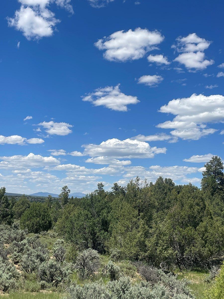 2 Acres of Residential Land for Sale in Tierra Amarilla, New Mexico