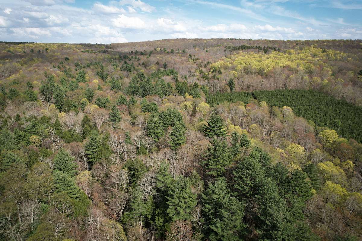 76.7 Acres of Recreational Land for Sale in Richford, New York