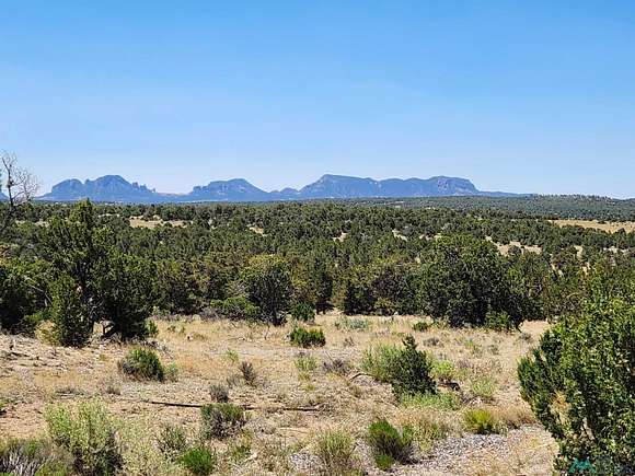 149 Acres of Land for Sale in Pie Town, New Mexico