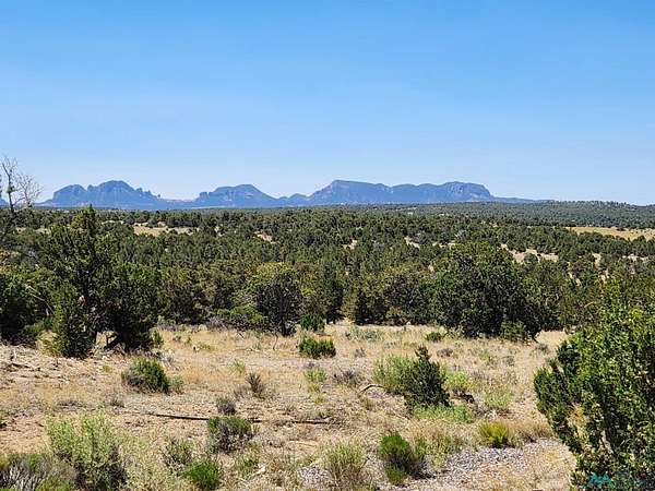 149 Acres of Recreational Land for Sale in Pie Town, New Mexico