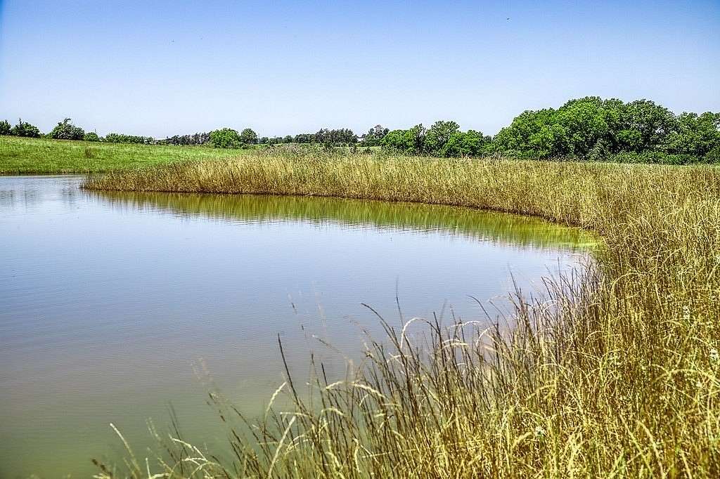 81.745 Acres of Agricultural Land for Sale in New Ulm, Texas