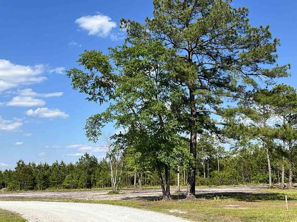 1.3 Acres of Residential Land for Sale in Loris, South Carolina