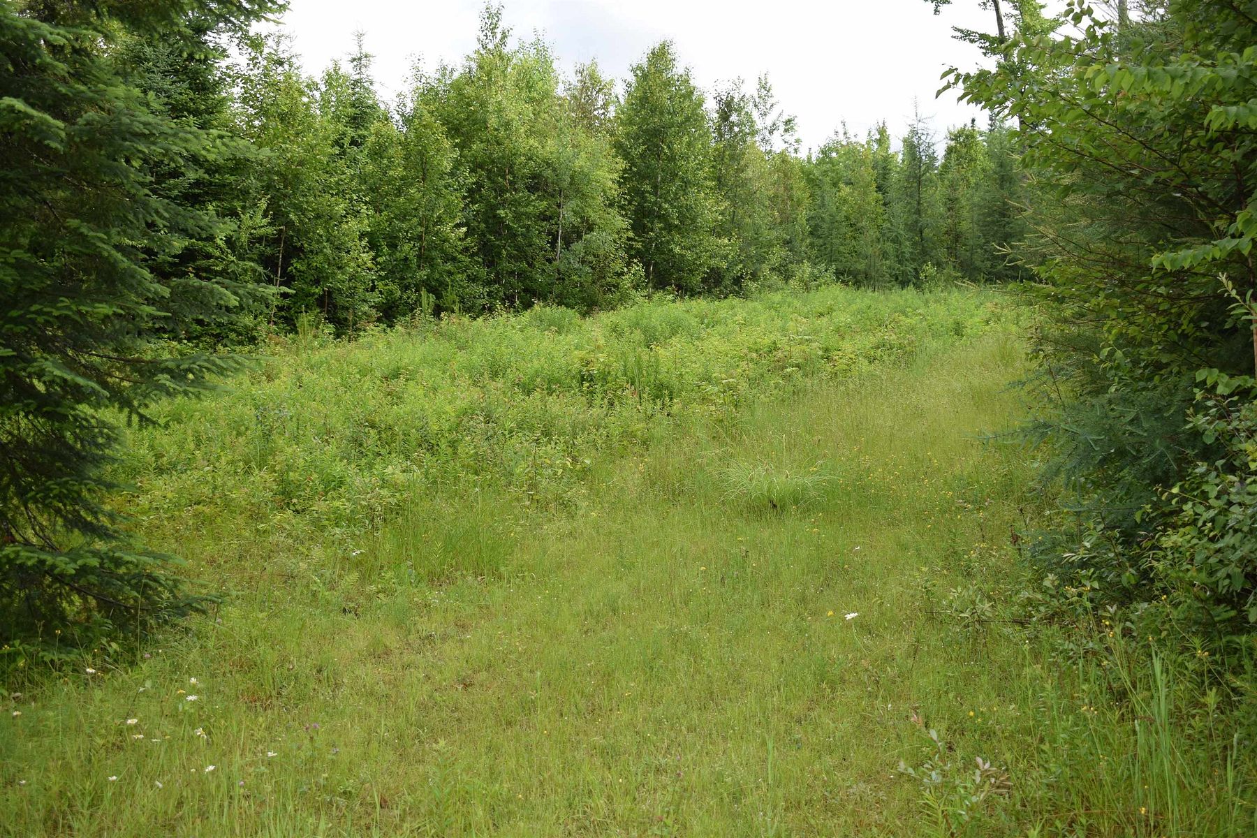 1.9 Acres of Residential Land for Sale in Whitefield, New Hampshire