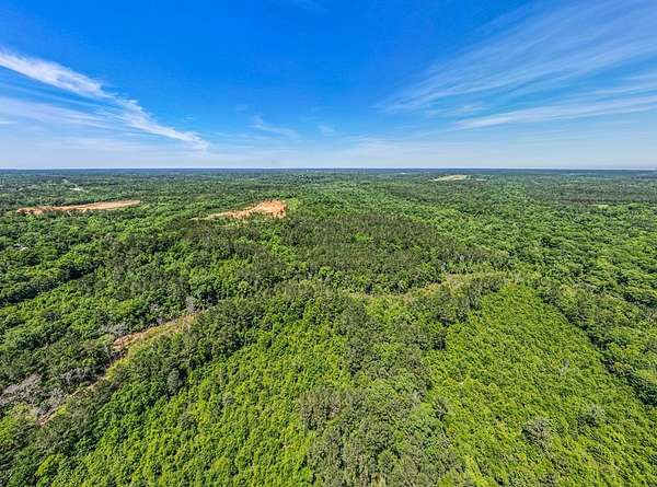 201 Acres of Recreational Land for Sale in Quincy, Florida