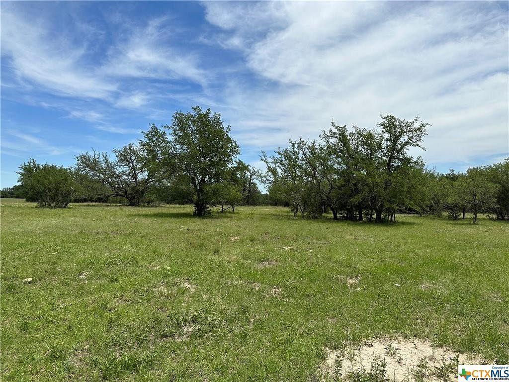 12 Acres of Land for Sale in Briggs, Texas