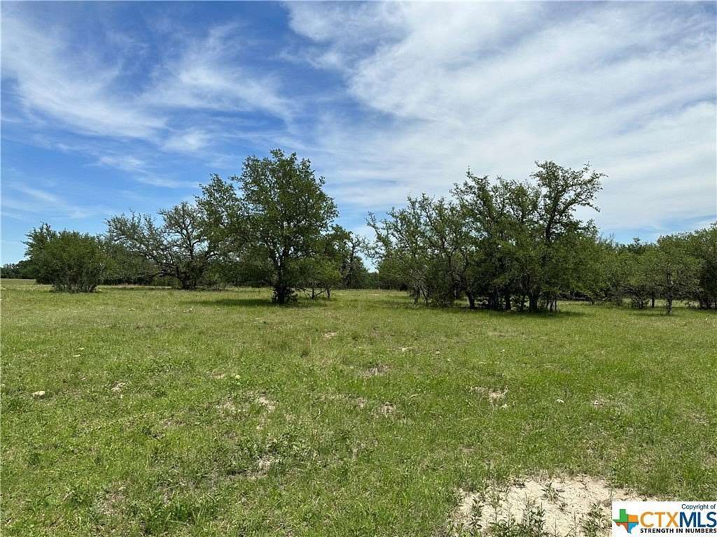 12 Acres of Land for Sale in Briggs, Texas