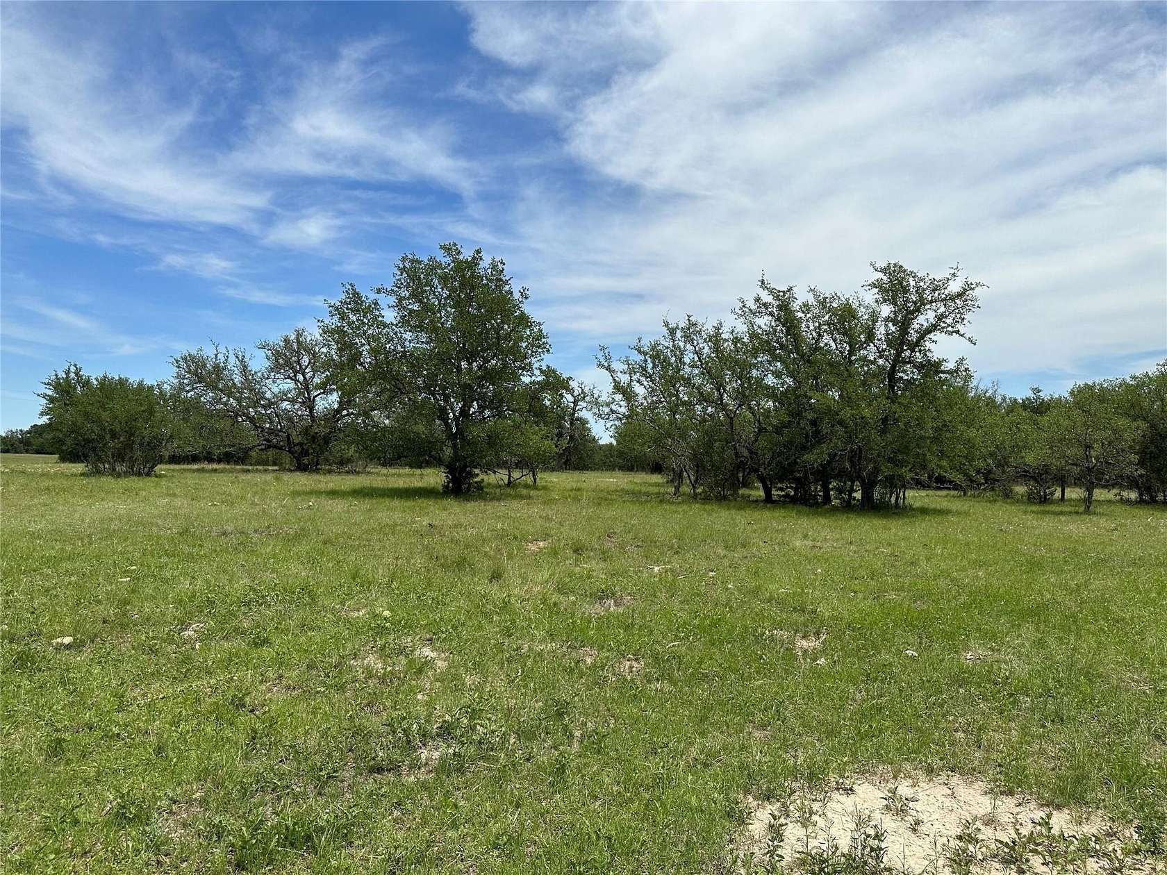 12 Acres of Land for Sale in Briggs, Texas