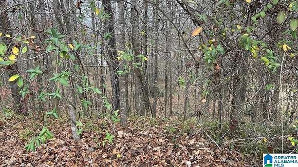 10 Acres of Residential Land for Sale in Hueytown, Alabama