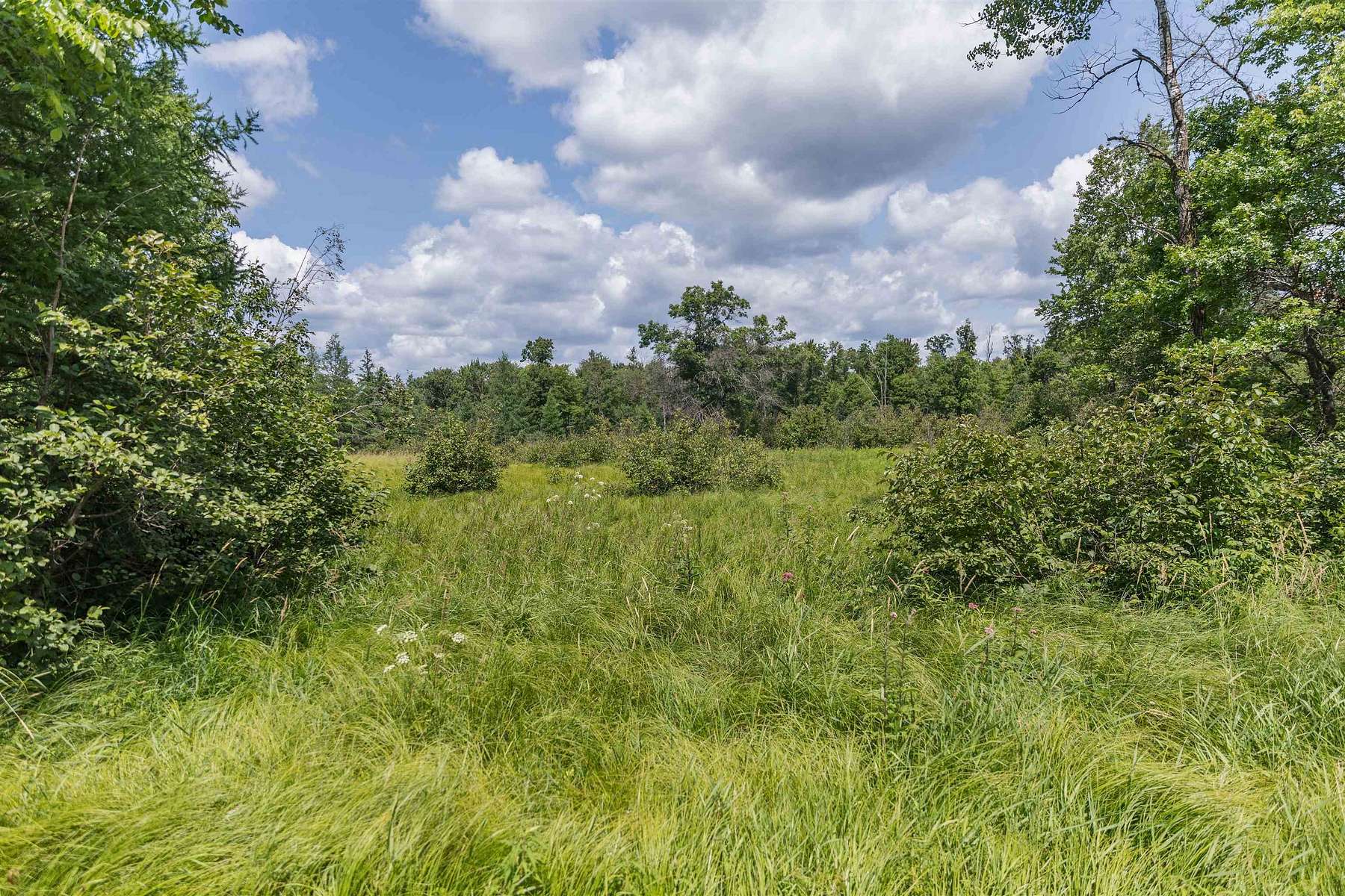 39.7 Acres of Recreational Land for Sale in Friendship, Wisconsin